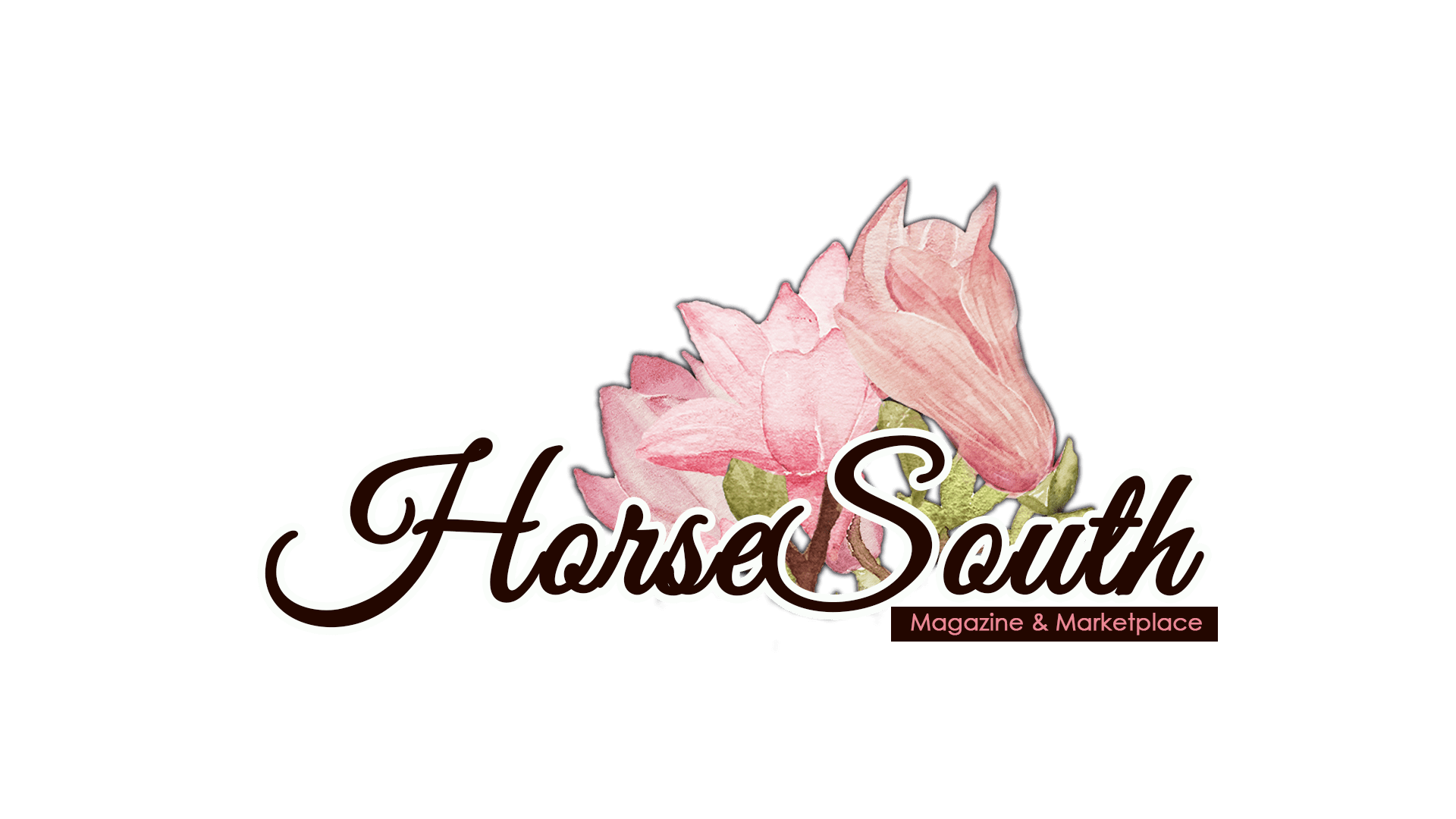 HorseSouth Magazine